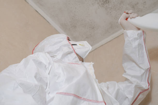 Best Mold Testing  in Desnso, CA