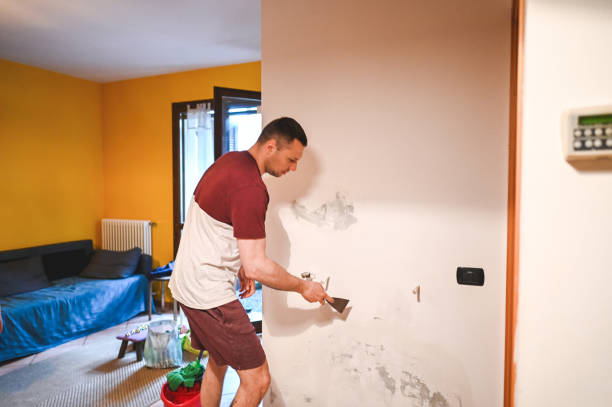 Descanso, CA Mold Removal Company